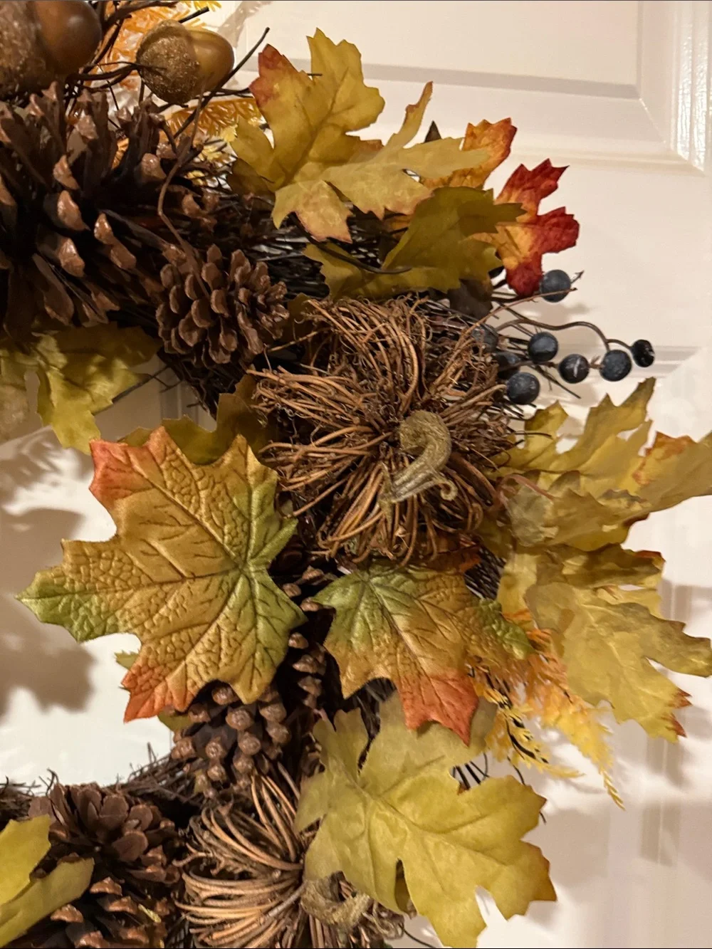 Ashland elegant fall